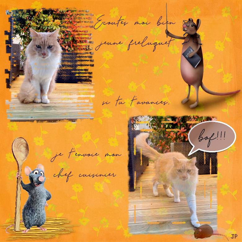 écoutes moi bien.jpg