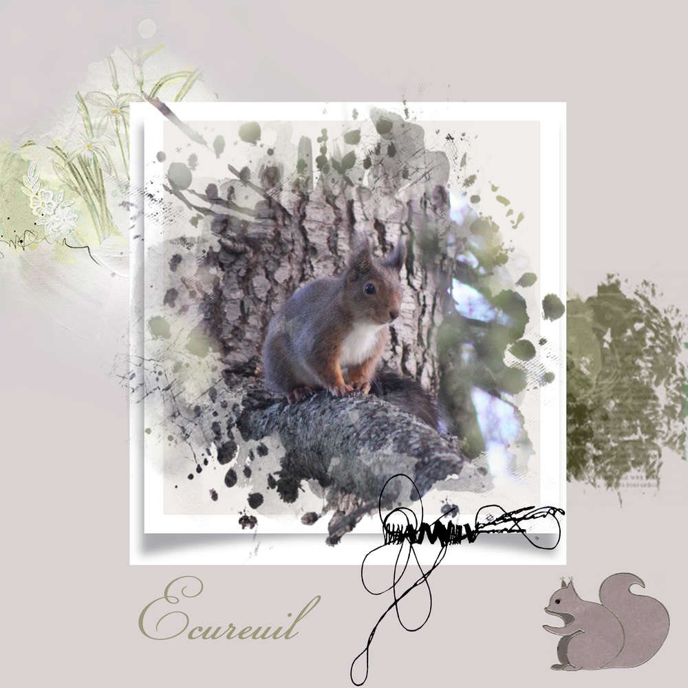 Ecureuil