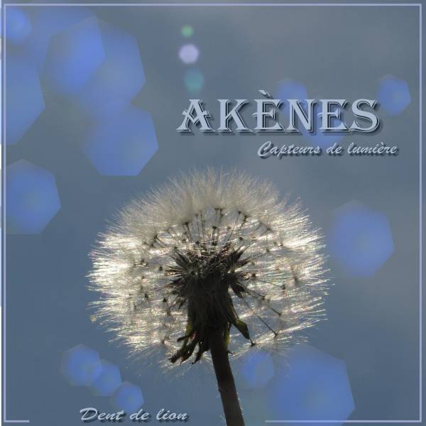 Effet bokeh Mélodie