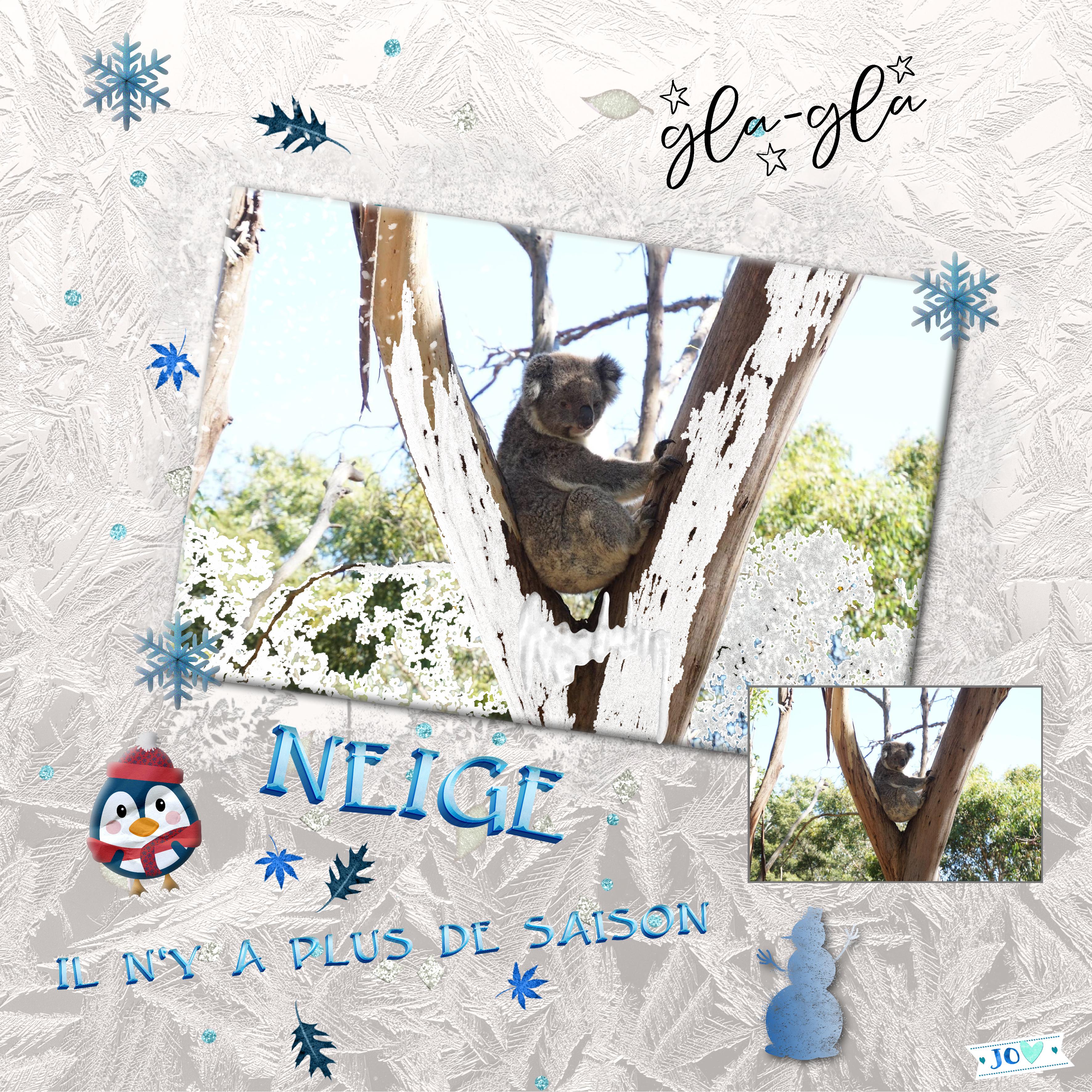 EFFET NEIGE