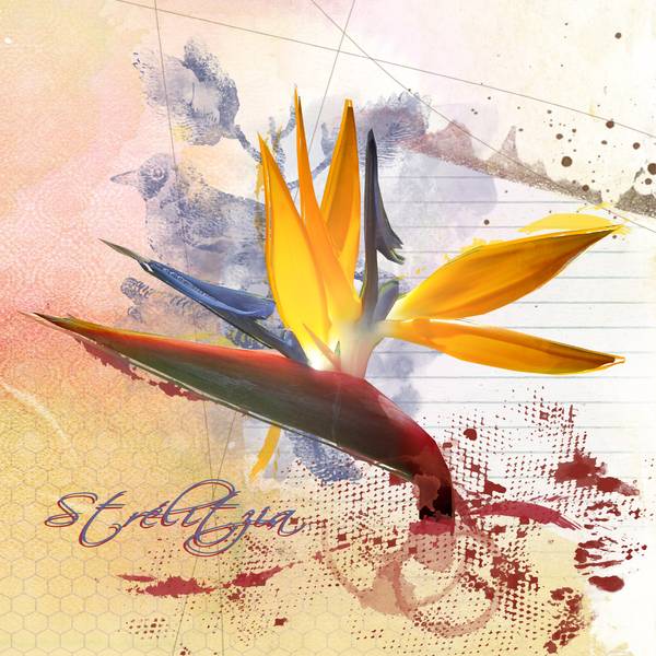 Effet peinture selon MALOU