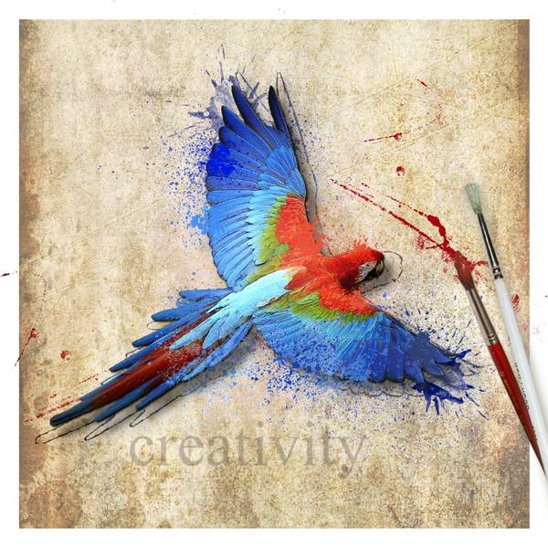 Effet photo artistique