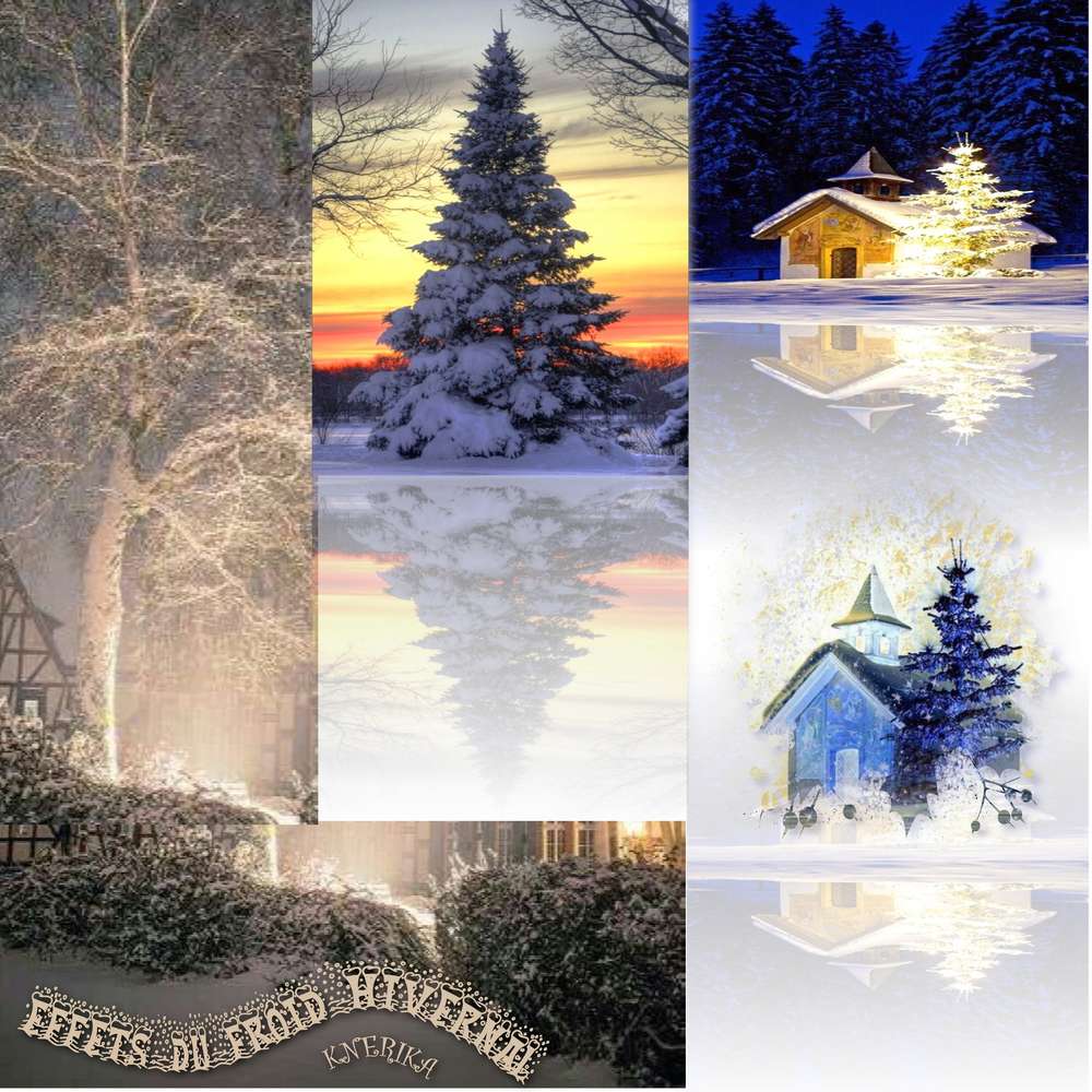 effets_du_froid_hivernal_du_28-04-20_OK