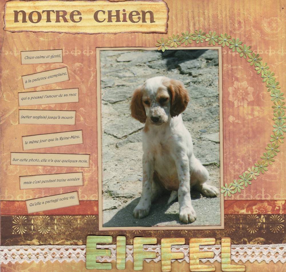 Eiffel, notre chien