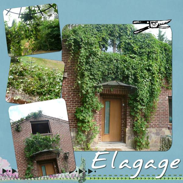 Elagage
