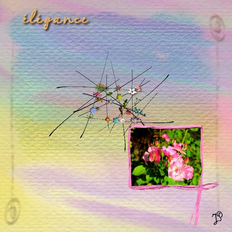 élégance.jpg