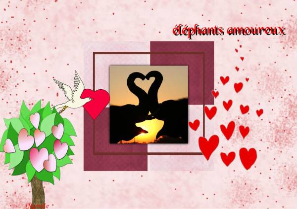 éléphants , défi de MAX