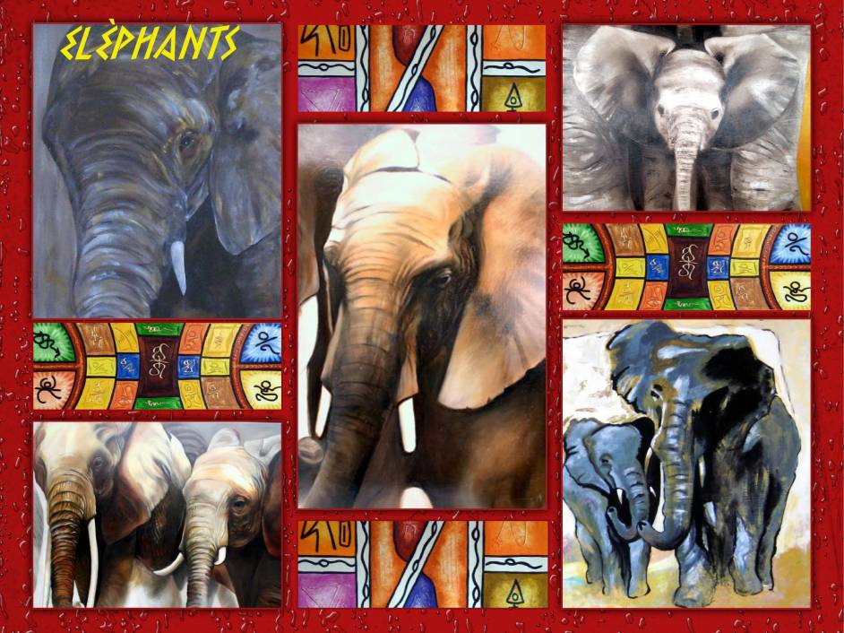 Eléphants
