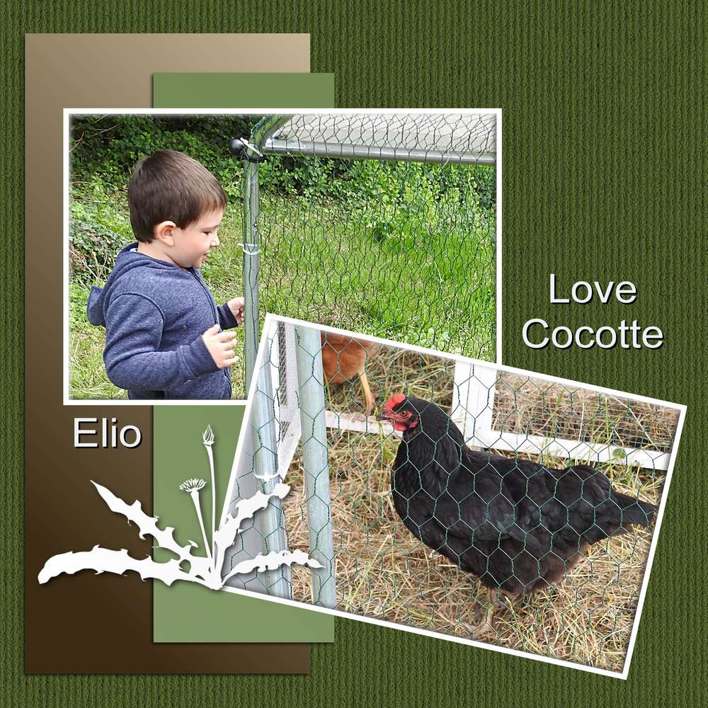 ELIO ET COCOTTE LA POULE NOIRE