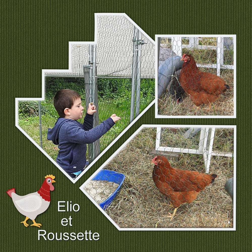ELIO ET ROUSSETTE LA POULE ROUSSE