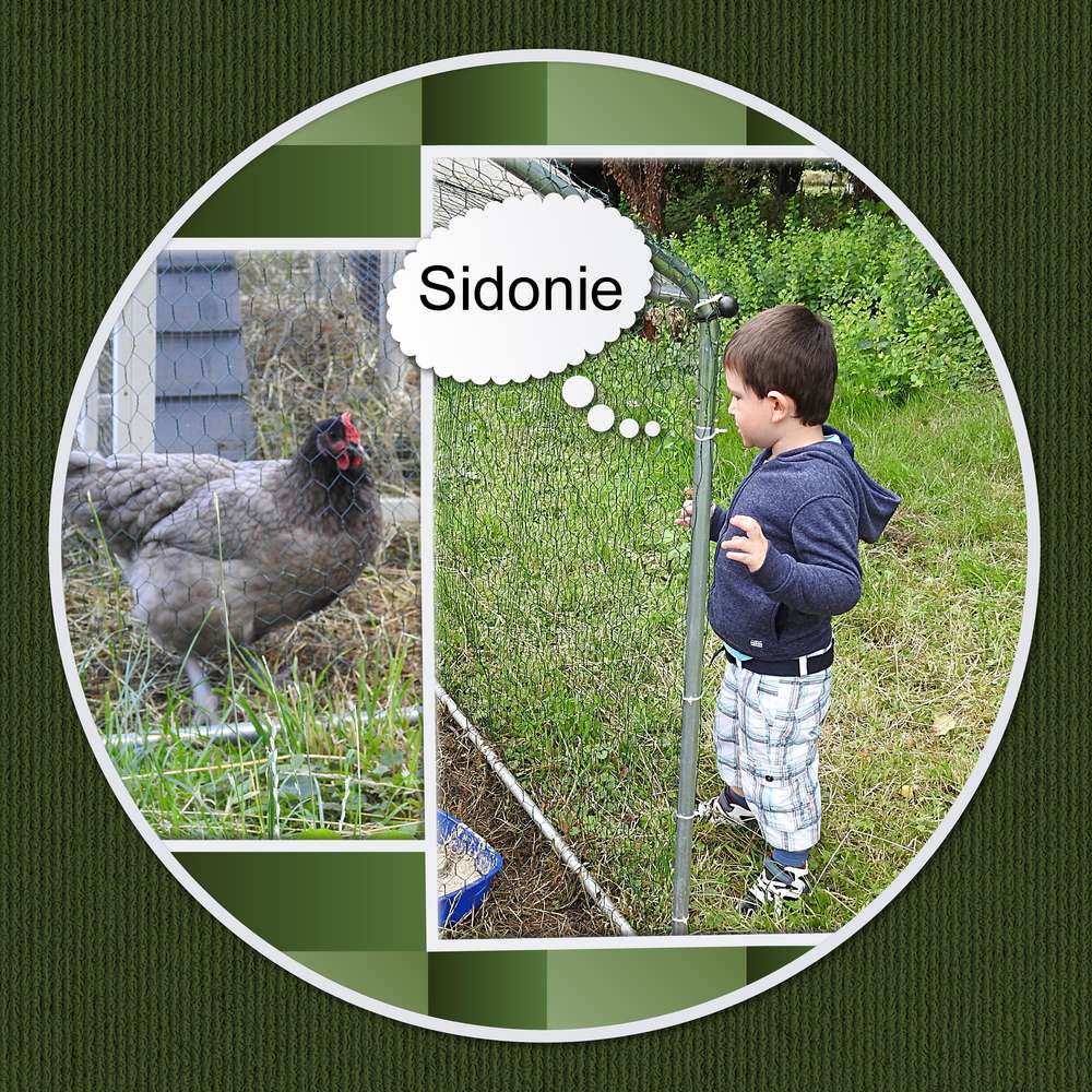 ELIO ET SIDONIE LA POULE GRISE