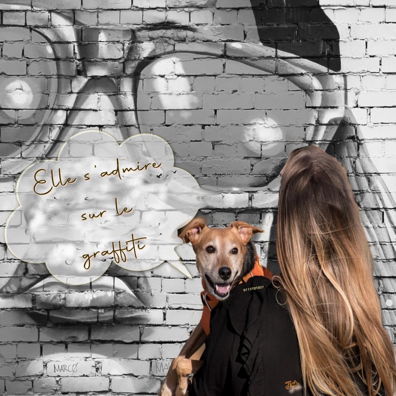 elle s'admire sur le graffiti .jpg