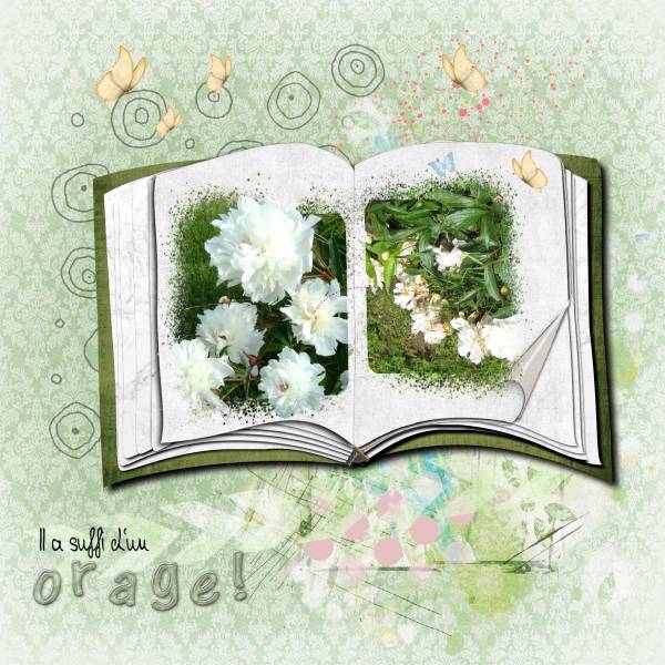 Elles étaient si belles