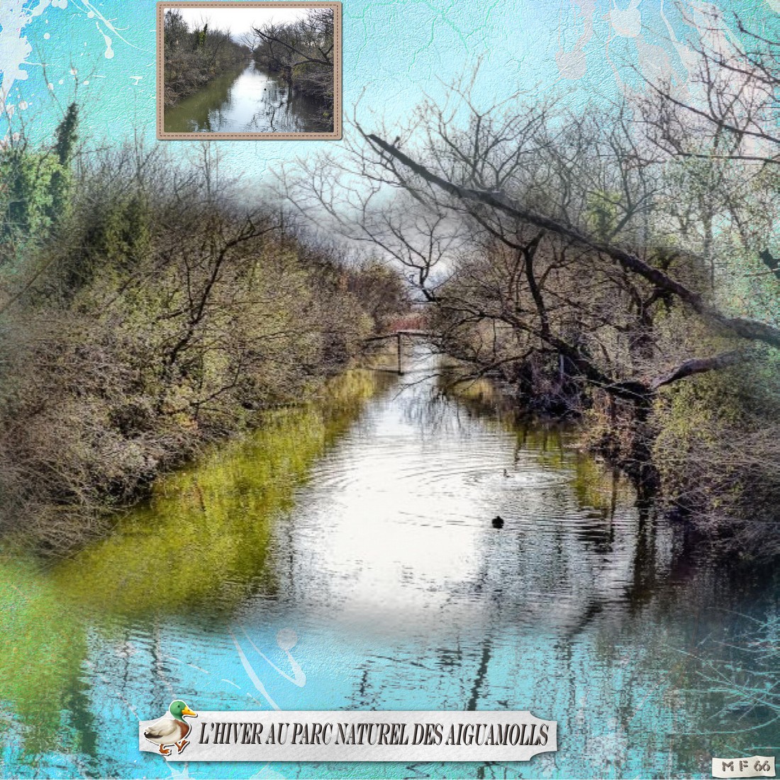 embossage aquarelle 1.jpg