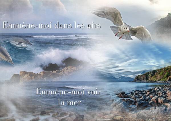 EMMENE-MOI -- BOULEVARD DES AIRS