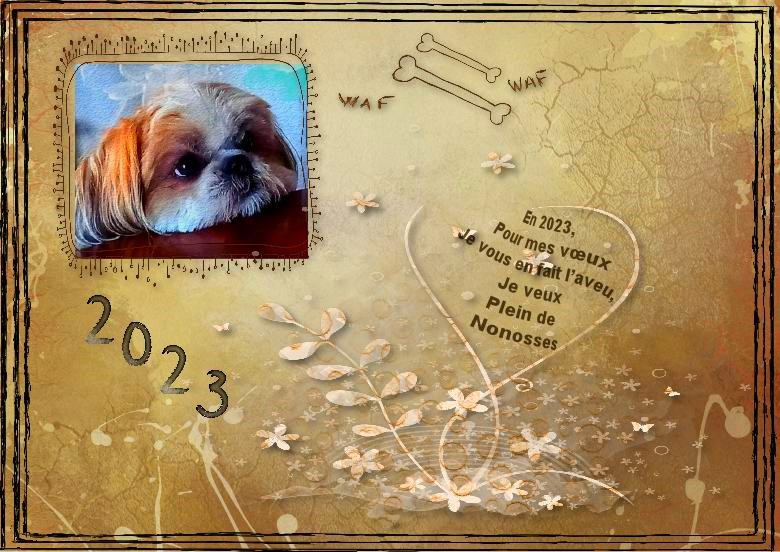 en 2023 pour mes voeux.jpg