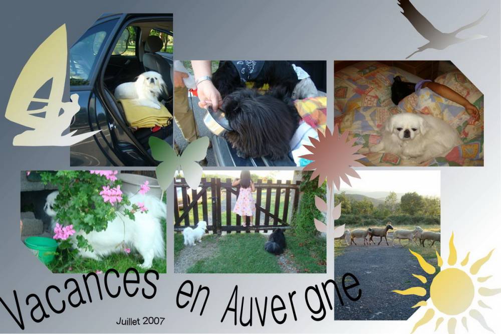 En Auvergne
