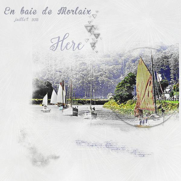 En baie de Morlaix - juillet 2015