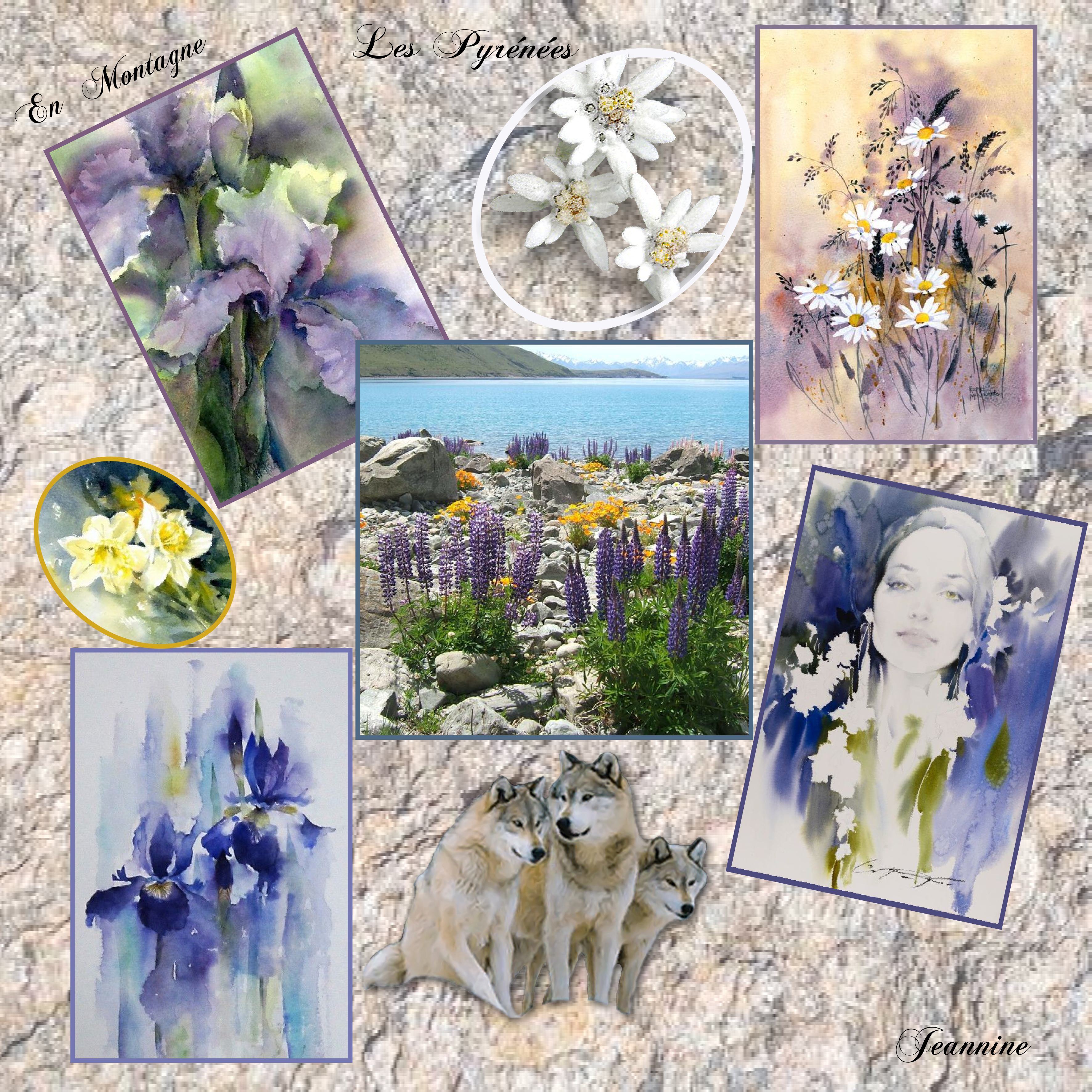 En Montagne les Pyrénées_Jeannine jpg