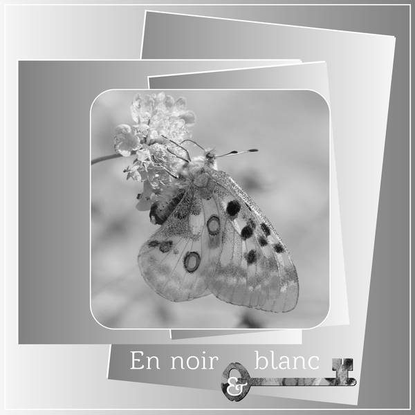 EN NOIR et BLANC