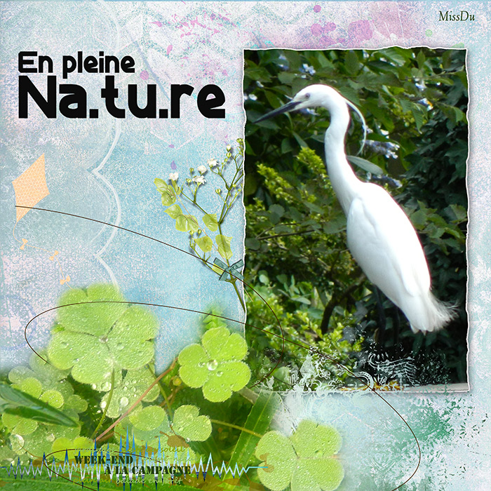 en pleine nature