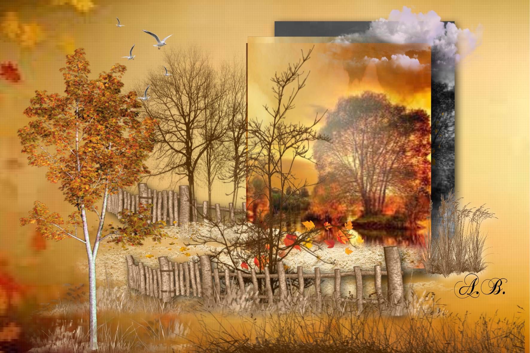 Encore l'automne.jpg