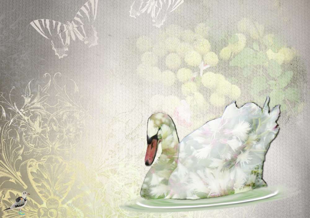 encore un essai ....