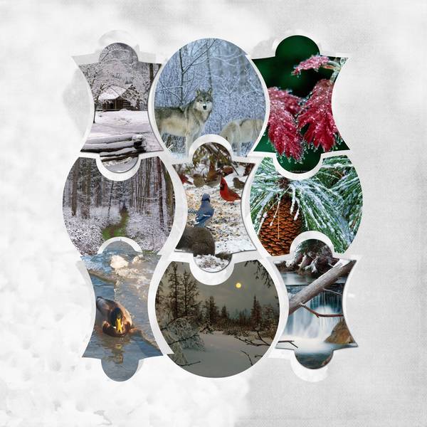 encore un peu de froid ?