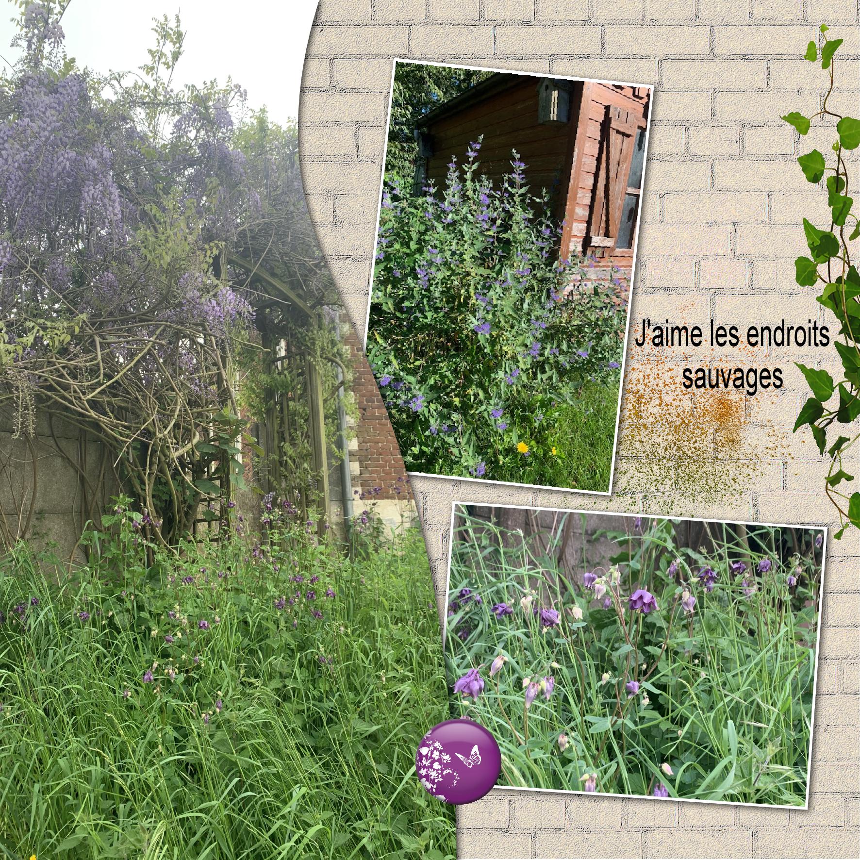 endroit sauvage.jpg
