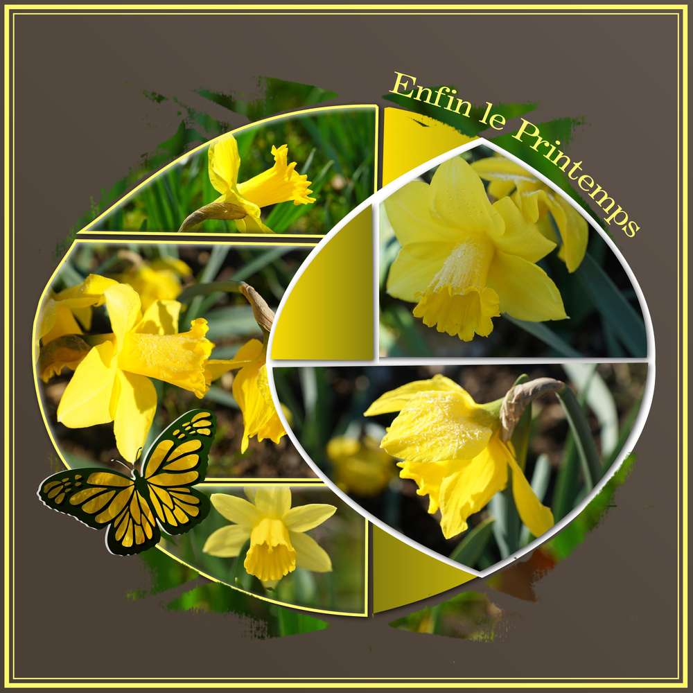 ENFIN LE PRINTEMPS