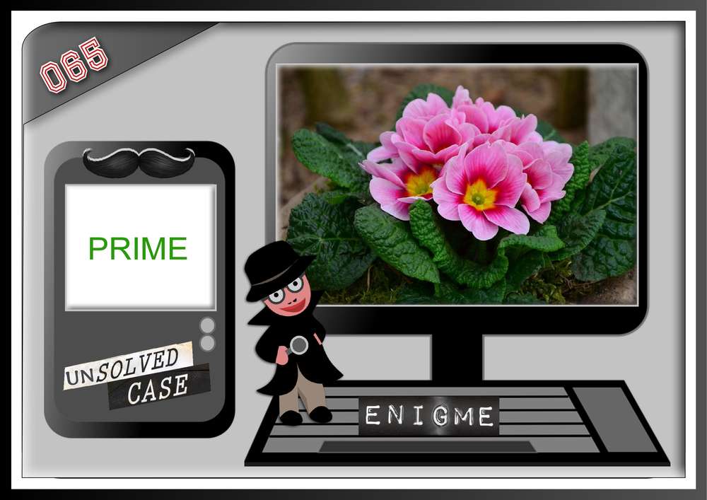 ENIGME 65