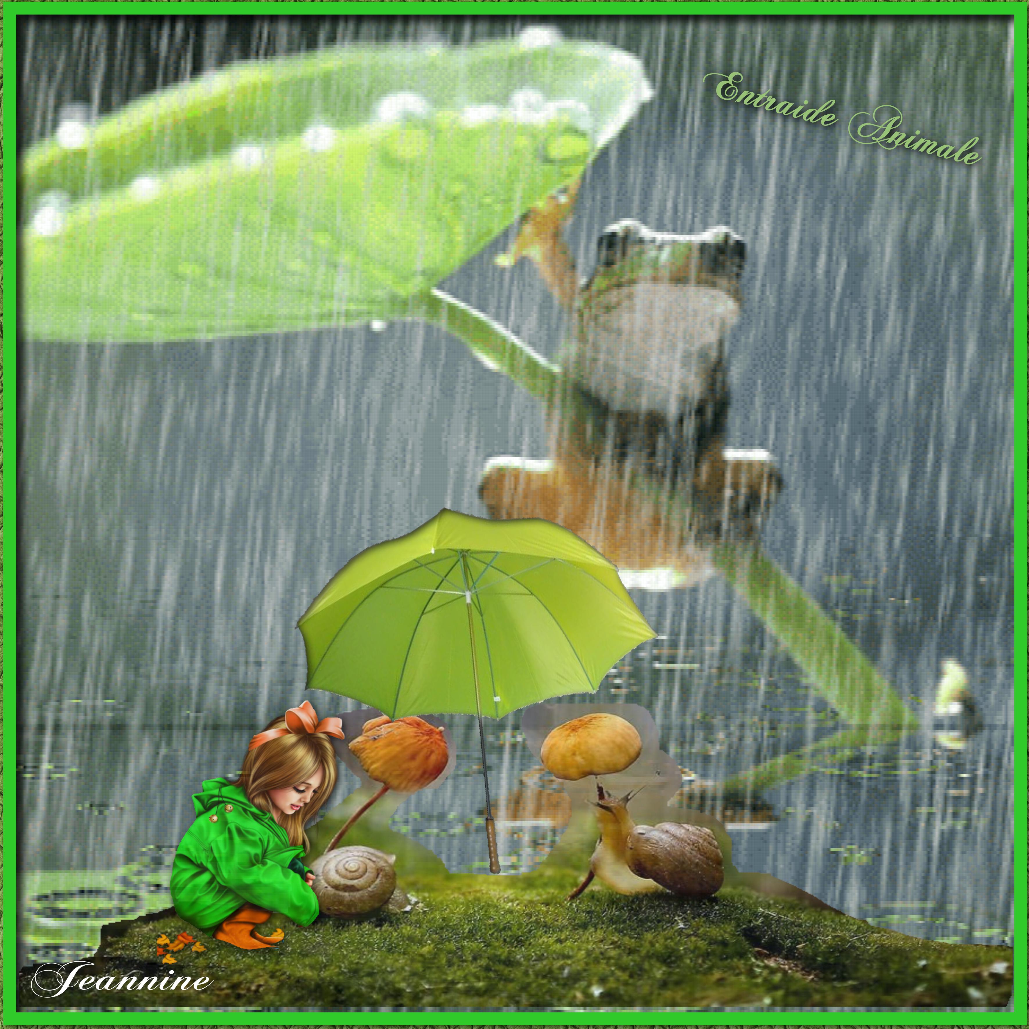 Entraide Animale  Jeannine.jpg