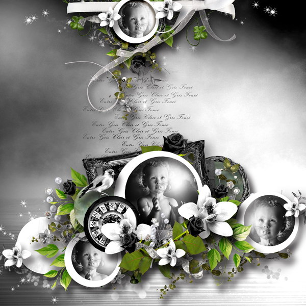 Entre gris clair et gris foncé