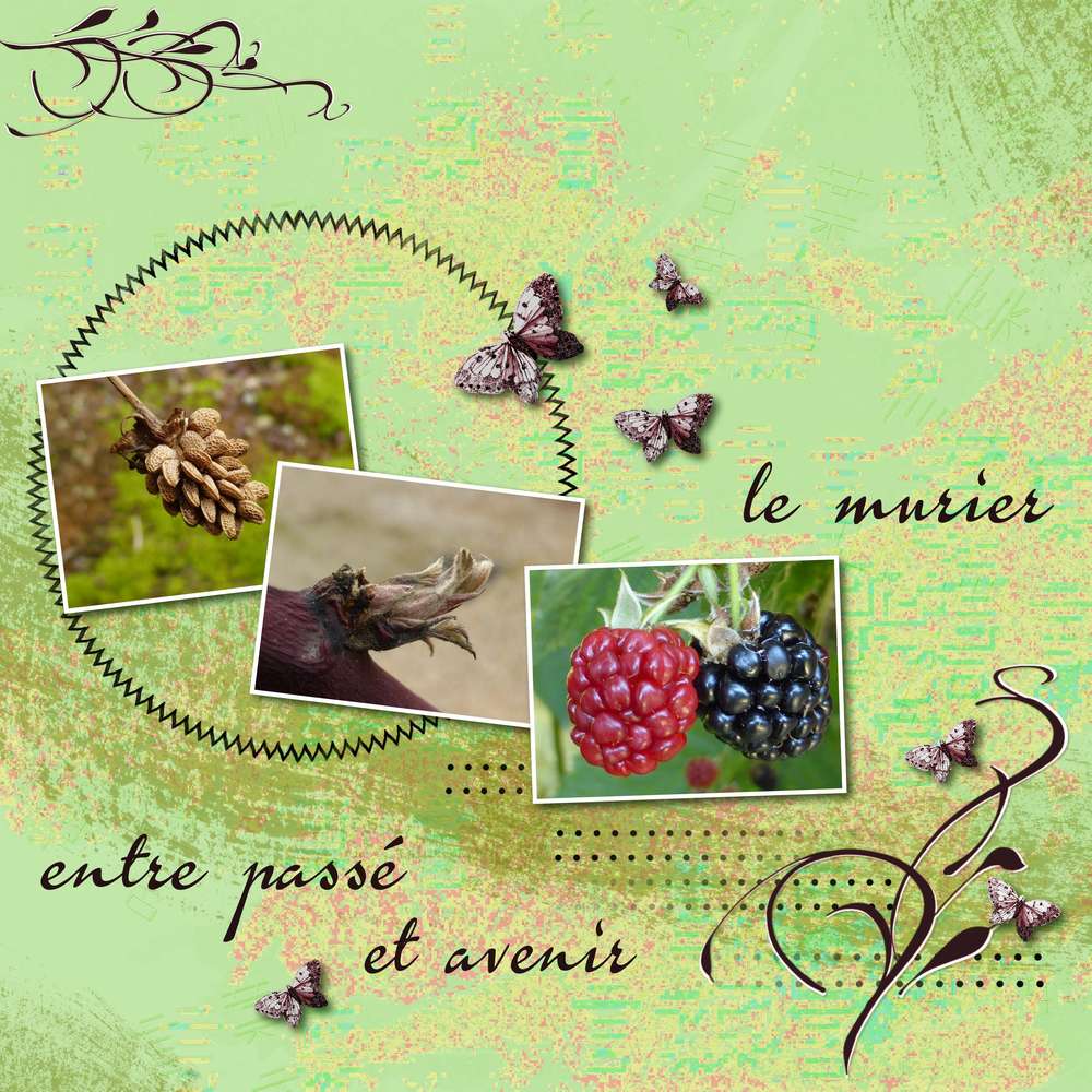 Entre passé et avenir