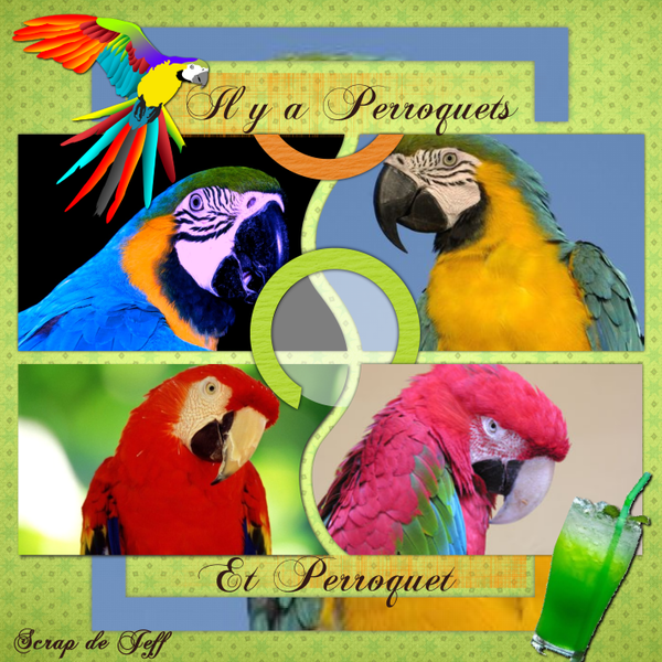 Entre Perroquets et Perroquet.