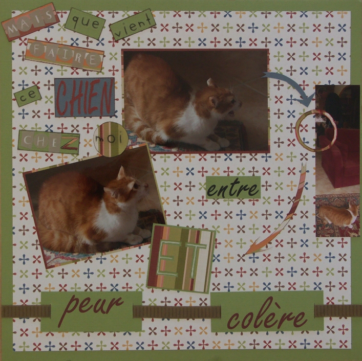 Entre peur et colère...