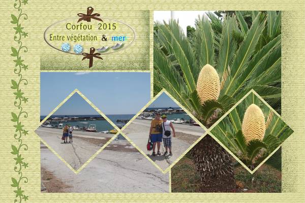 Entre végétation et mer