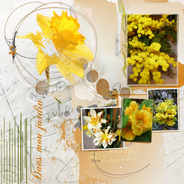 Envie de couleurs en ce jour de grisaille ...