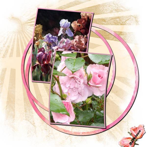 Envie de ...Fleurs .... et de beau temps