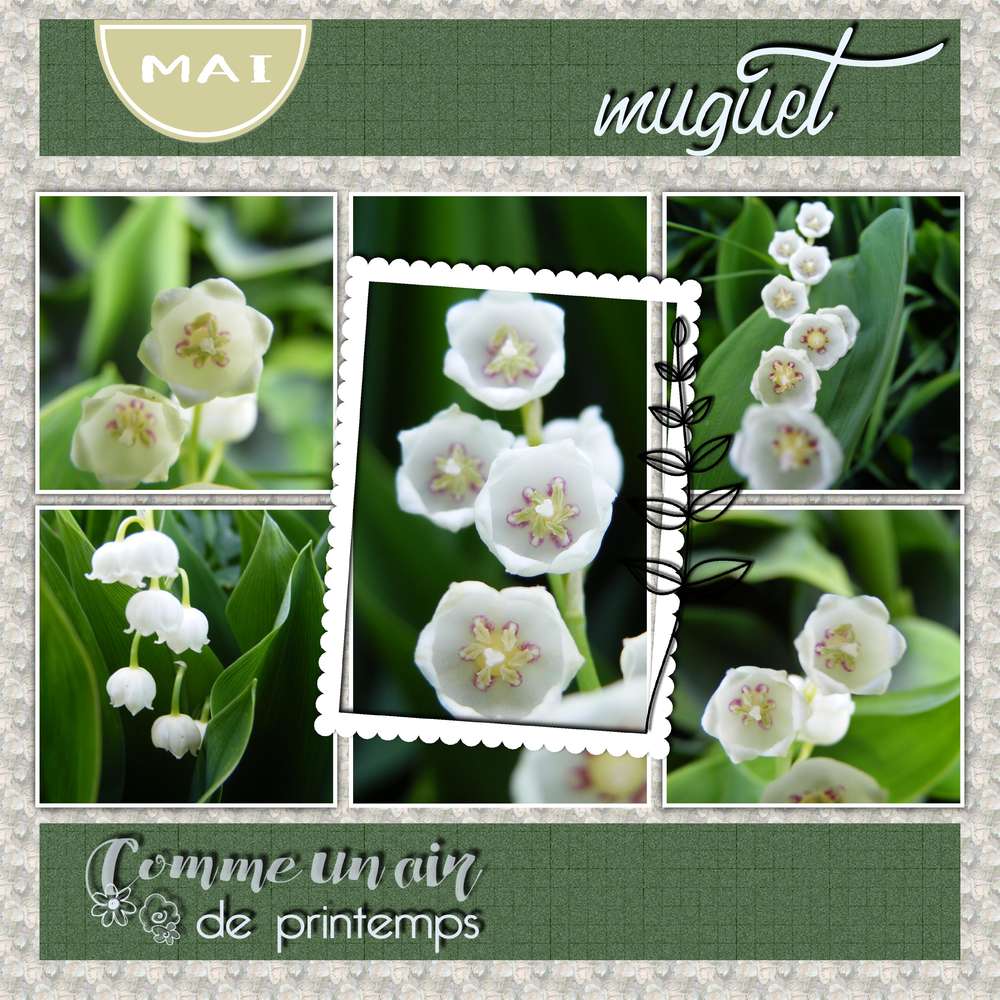 envie de printemps....