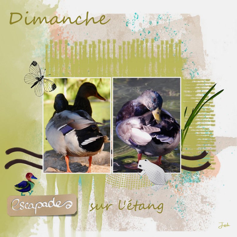 escapades sur l étang.jpg