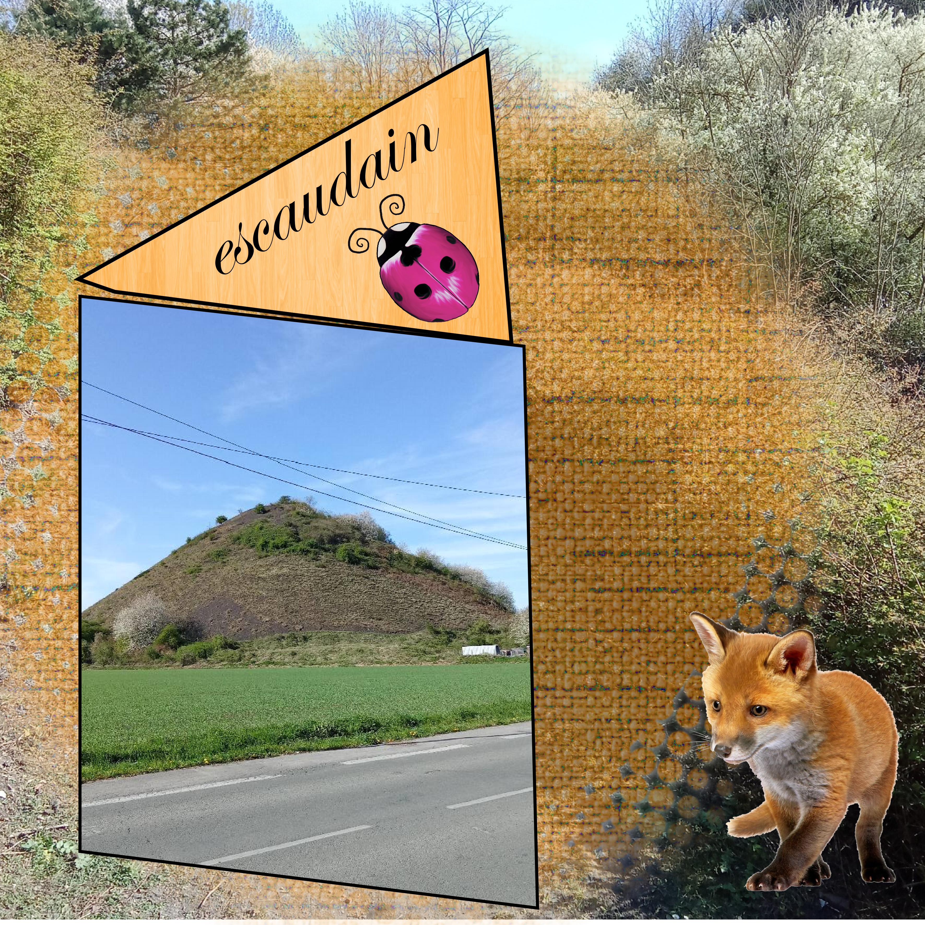 escaudain le renard.jpg