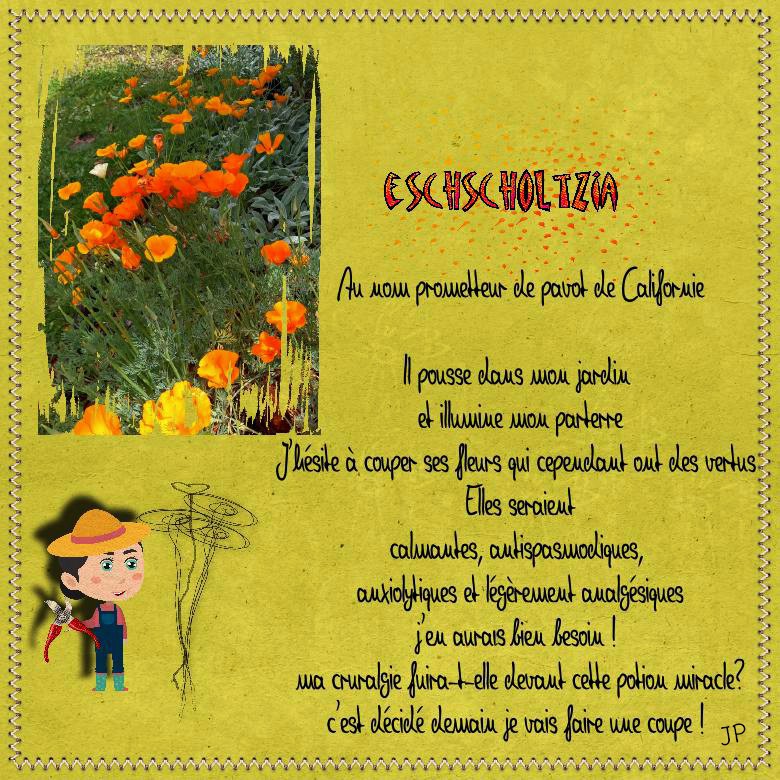 Eschscholtzia.jpg