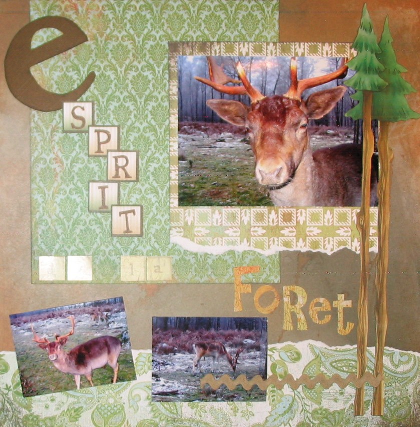 Esprits de la forêt