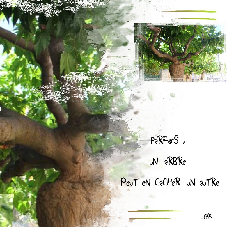 essai de masque 12-07-21.parfois un arbre peut en cacher un autre