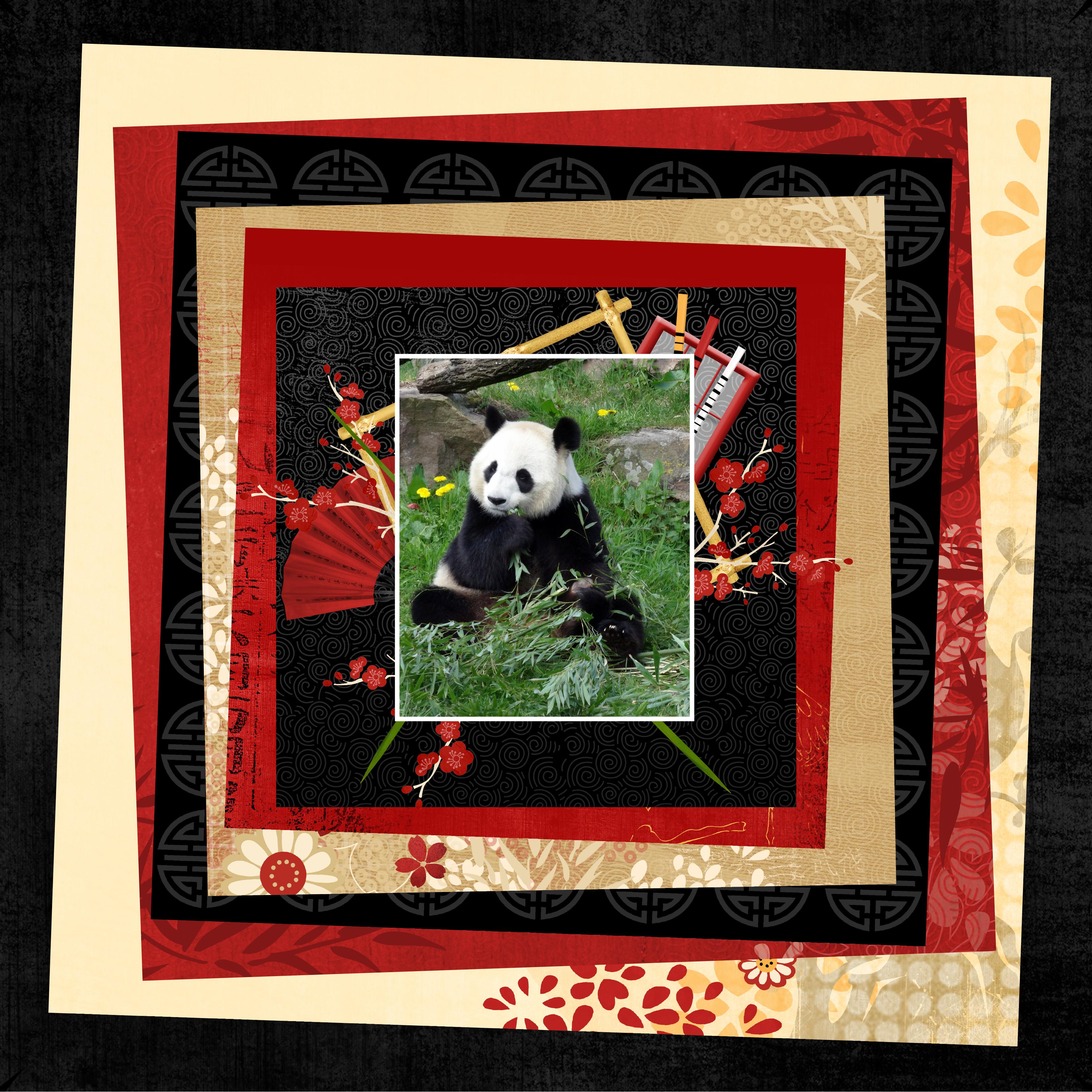 Essai Iris Matting Zoo de Beauval (page 2).jpg