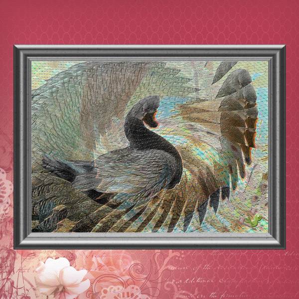 essai joujou avec ****