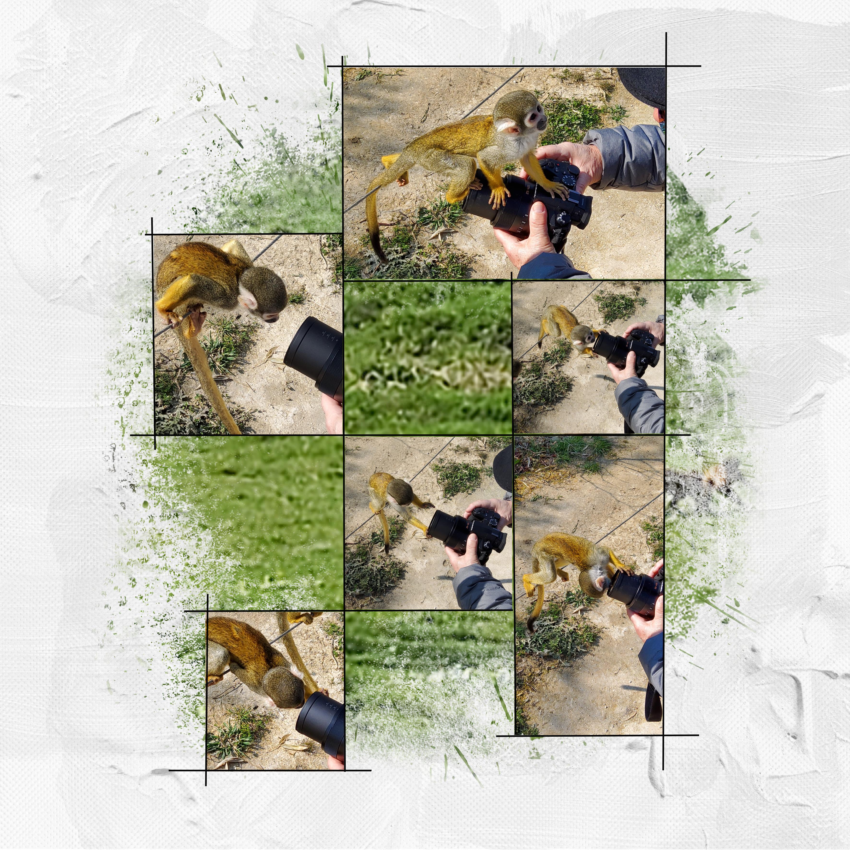 essai pele mele (page 2).jpg