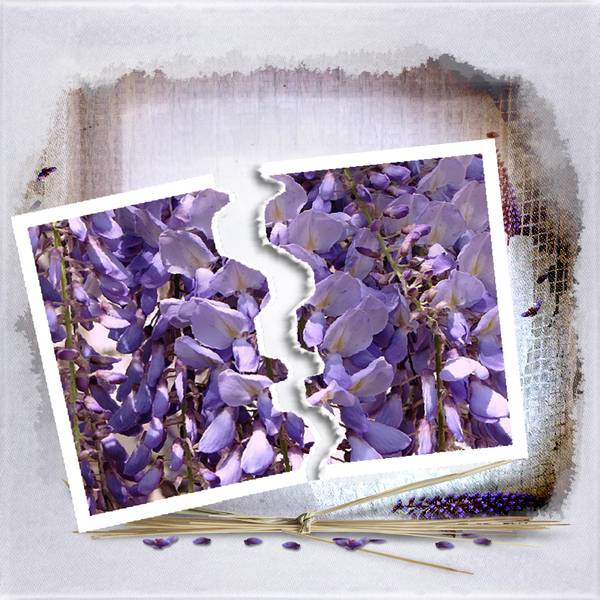 Essai photo déchirée - 2