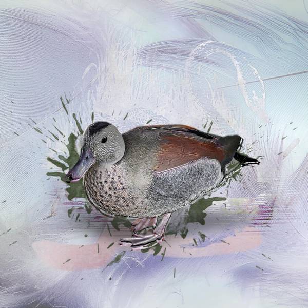 ESSAI2TUTOMARIELOUISE